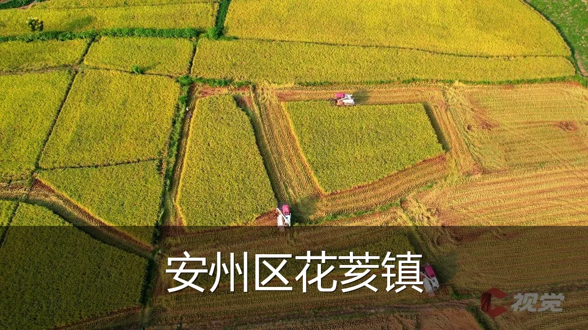 安州区花荄镇