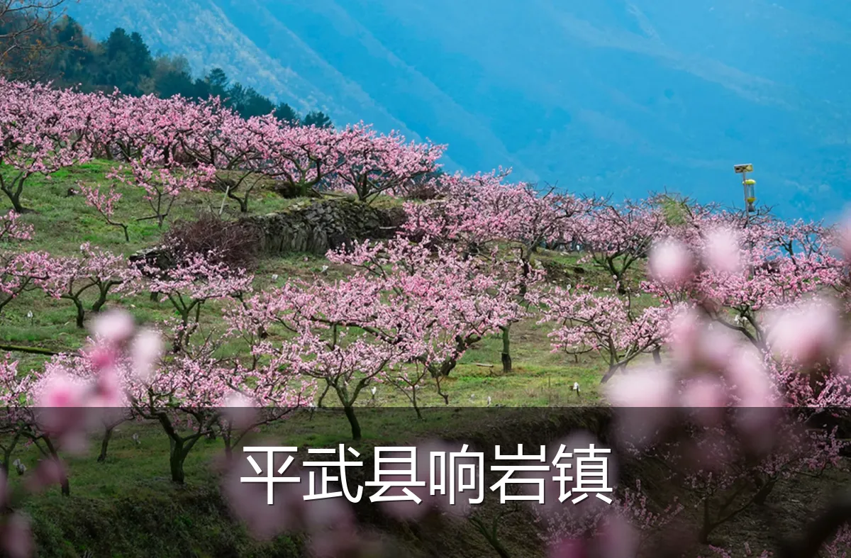 平武县响岩镇