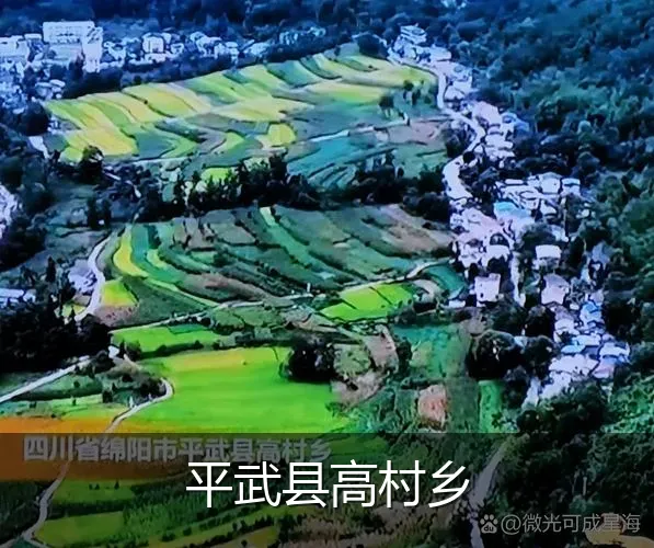 平武县高村乡