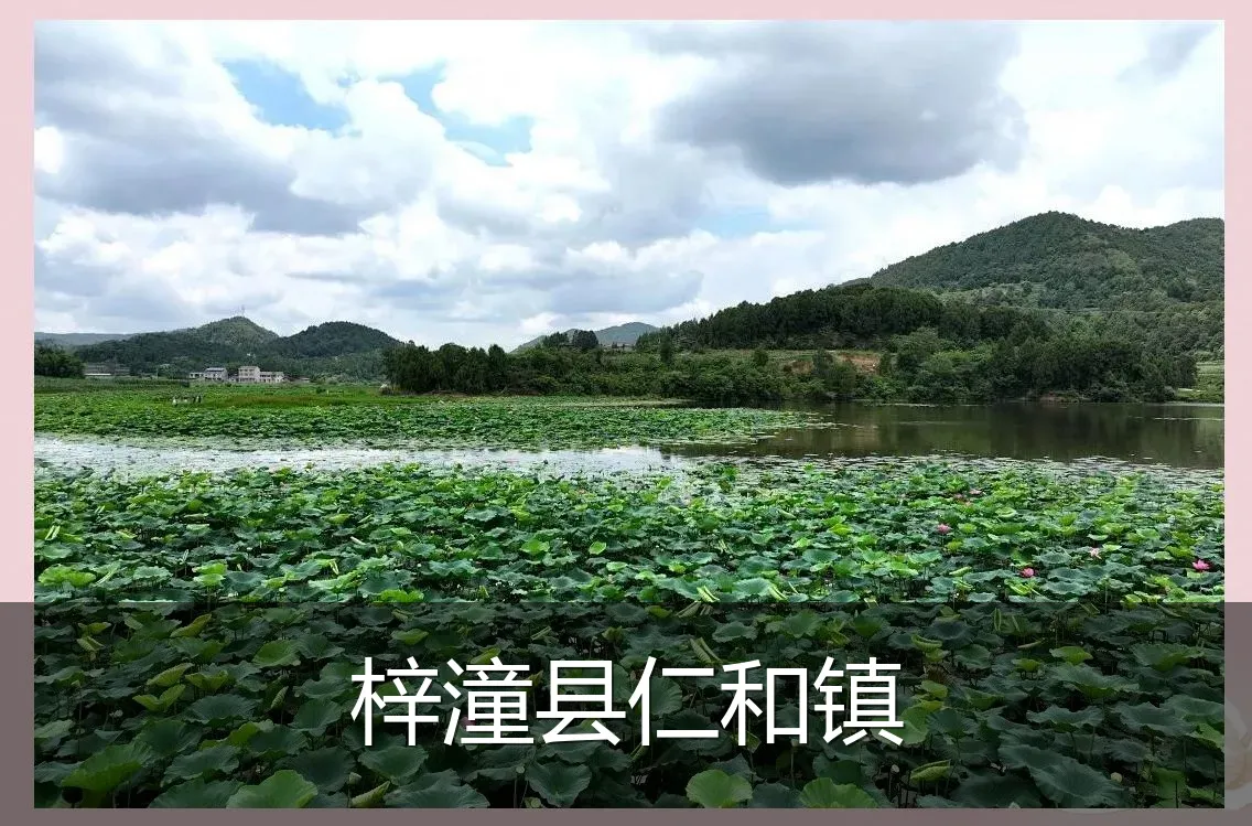 梓潼县仁和镇