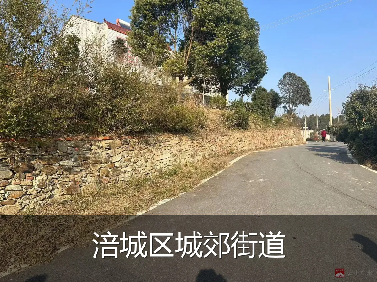 涪城区城郊街道