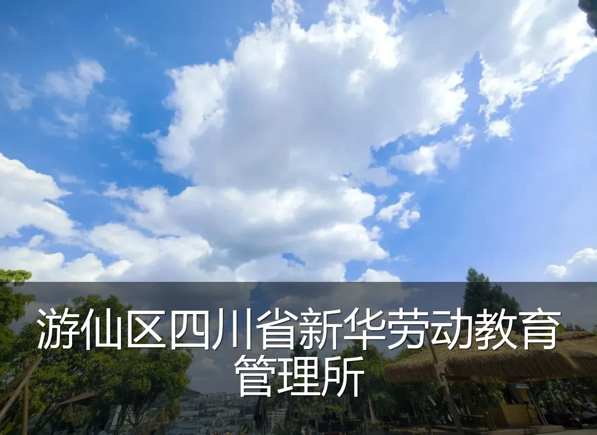游仙区四川省新华劳动教育管理所