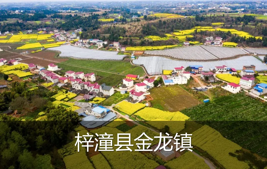 梓潼县金龙镇