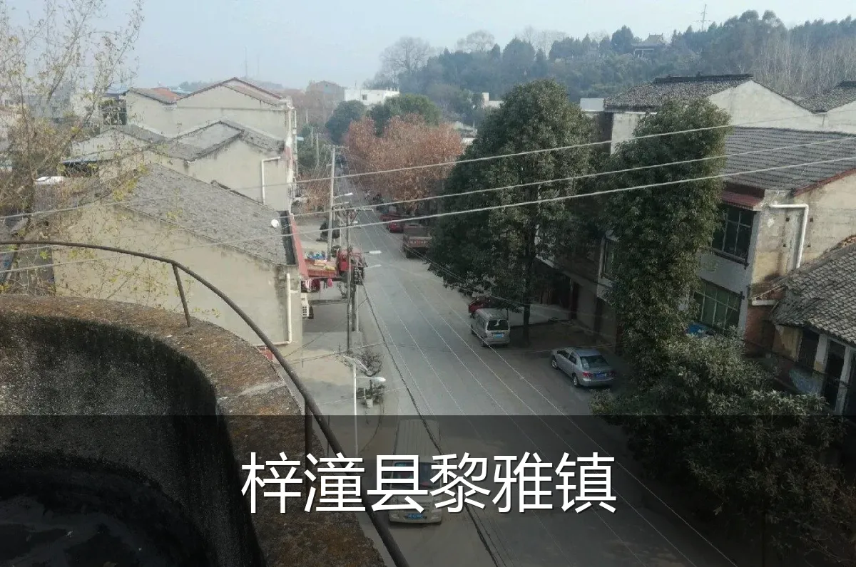 梓潼县黎雅镇