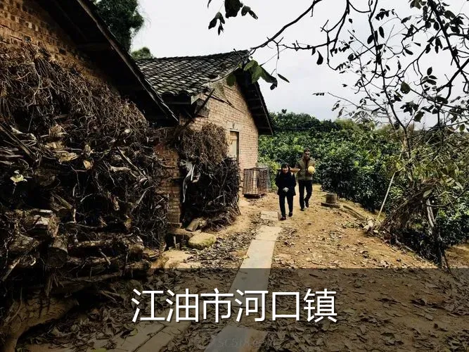江油市河口镇