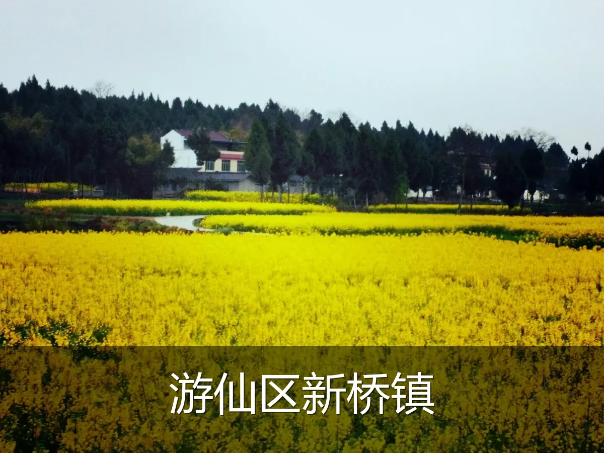 游仙区新桥镇